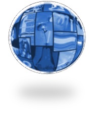 biommedd2012 logo.jpg